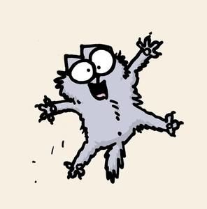 Meet your Posher, Ariane